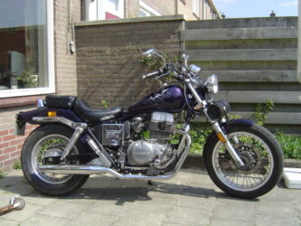 Dolfijnen op tank, deze zijn overgenomen van de eigenares die hier ook een tatoeage van heeft. Jammer dat ze al snel een ongeval kreeg met haar motor,alle moeite die ze er voor had gedaan was dus tevergeefs. Dolfijnen Custom